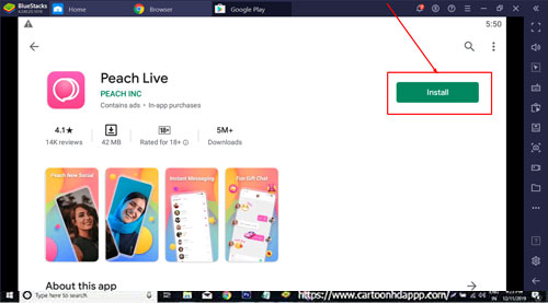 Peach Live Pro for Windows 10